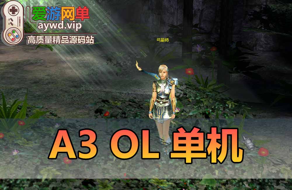 A3OL单机版四职业送GM攻略韩国经典复古网游单机219虚拟机一键端缩略图