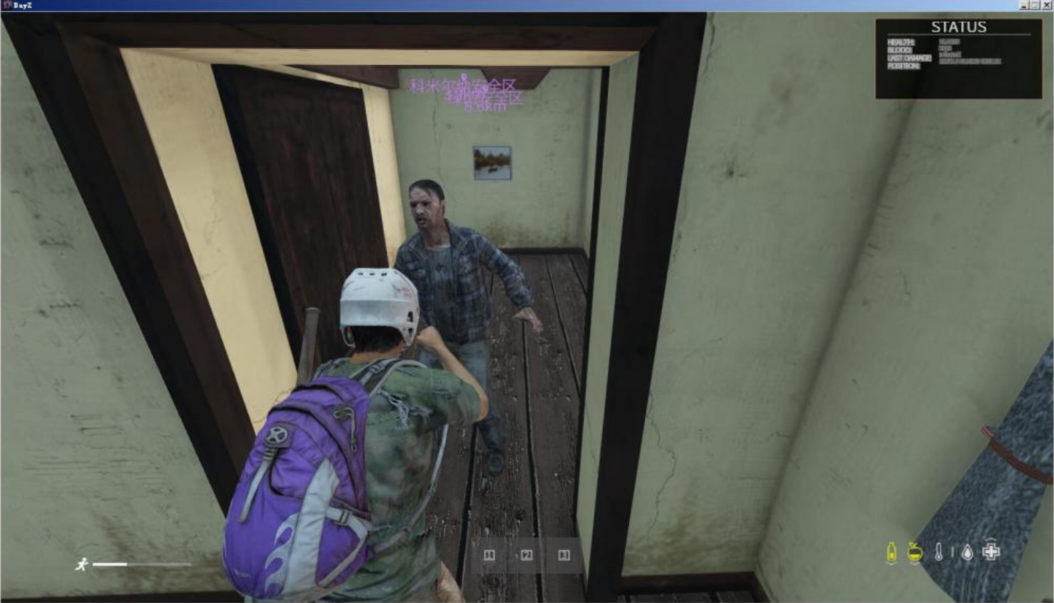 【搬运端游】DayZ-1.10一键服务端+客户端+MOD+配套教程插图 【搬运端游】DayZ-1.10一键服务端+客户端+MOD+配套教程